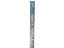 BSS gache centrale 300AF - avec 2 ancrages - 25x300mm