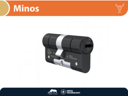 M C cylindre de securite double MINOS - noir - avec 5 cles