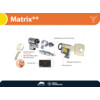 M C cylindre de securite double MATRIX   - laiton