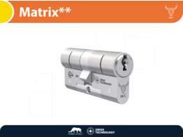 M C cylindre de securite double MATRIX   - nickele