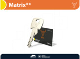 M C halvecilinder MATRIX   - messing